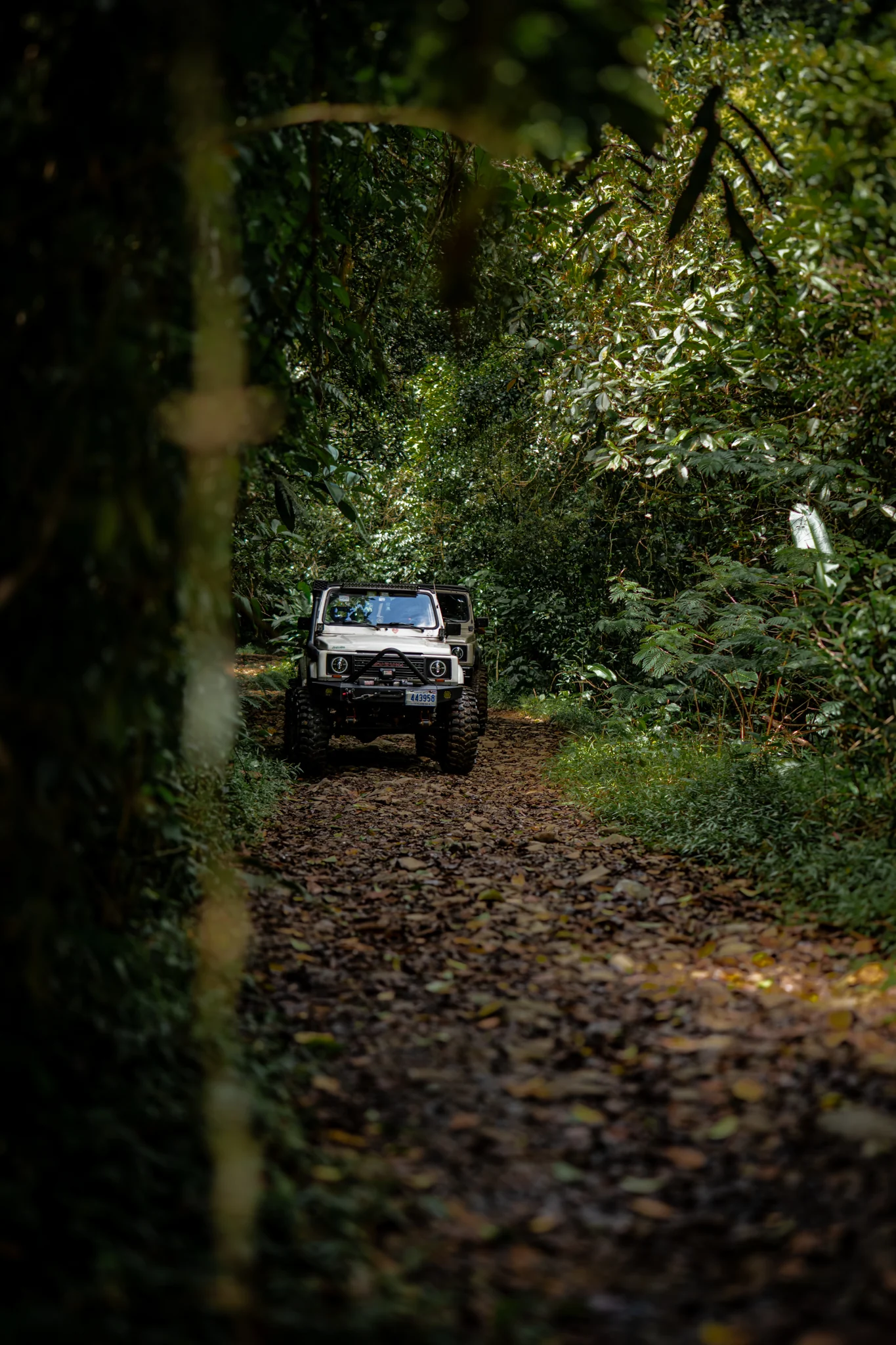 Suzuki Samurai approaching through a dense Costa Rican forest trail